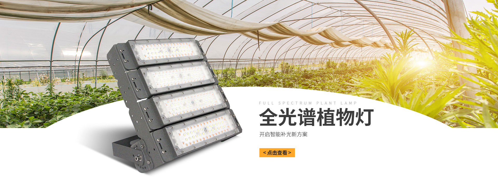 電腦幻燈片一