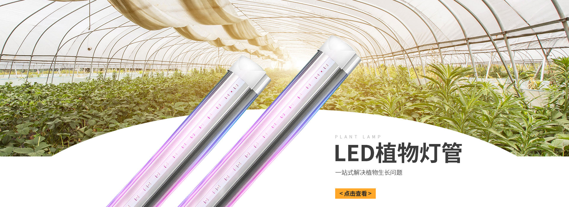 電腦幻燈片二